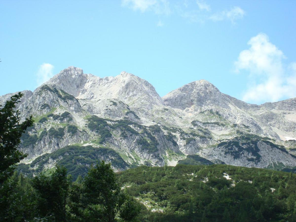 Apartment Amazing View Bohinj Eksteriør bilde
